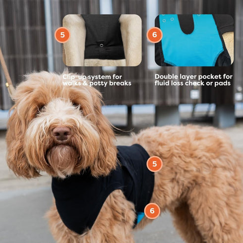 Suitical Recovery Suit for Dogs, Extra Large, Black