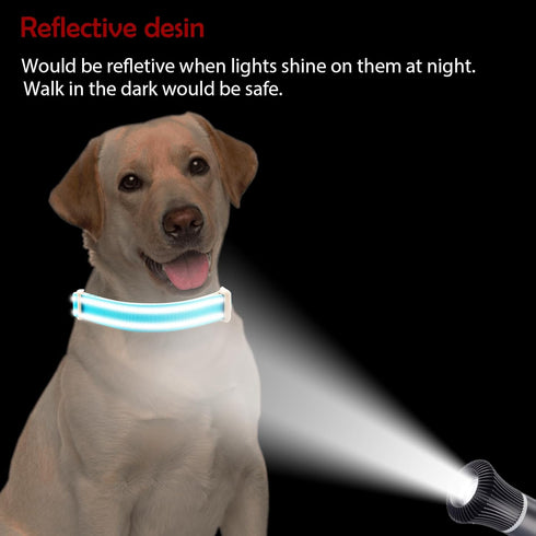 Lionheart glory Dog Collar Reflective Dog Collars Female Male Pet Collar Blue Collar Dog Adjustable Durable Soft Classic Collar for Small Dogs Pet Gift