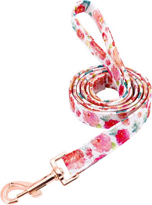 Floral Dog Leash with Soft Comfy Cotton Handle for Small Medium Large Dogs - Daily Walking (Gouache, M)