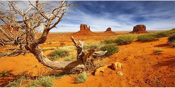AWERT 60x24 inches Orange Desert Terrarium Background, Reptile Habitat Durable Polyester Background