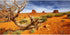 AWERT 24x12 inches Orange Desert Reptile Habitat Background Durable Polyester Background