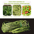 SPFLAUFR vegetables8.81oz 250g Tribute dehydrated Vegetables, Dried Vegetables, hot Pot Ingredients, Cold Dishes, no