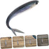 3D Soft Bionic Sea Fishing Lure Pair for Saltwater Tuna Fishing, Reusable PVC Artificial Swimbait Sinking Lures