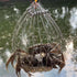2Pcs Counterweight 7.87X7.87X7.08In Hemoton Wire Mesh Crab Trap Cage with Auto-Opening Bait Pin and Reusable Crab