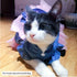 ANIAC Pet Denim Dress - Cute Bow-Knot Comfy Vest Skirt Lace Trim Tutu for Cats and Small Dogs - XX-Large