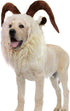 Funny Pet Reindeer Moose Costumes for Dog, Cute Furry Pet Wig for Halloween Christmas, Pet Clothing Accessories (Goat,
