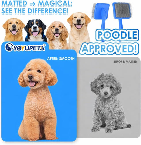 3 1 Large Dog Slicker Brush for Goldendoodles, Poodles - in Grooming Kit with Undercoat Rake, Comb - Extra Long Pins