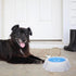 LUOZZY Pet Cooler Bowl for Dogs, Kitten Bowl, Frosty Water Bowl for House Summer Drinking (Blue)