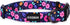 KISSBAK Medium Dog Collar, Soft Adjustable Floral Design for Cute Girl Puppy Dogs (M, Floral)