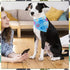 100PCS Hemming Small Dogs Bandanas Bulk Pet Paw Bone Kerchief Triangle Bibs Head Scarves Scarfs Random Patterns