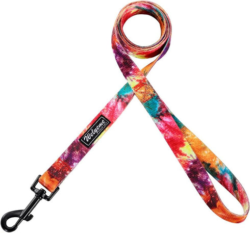 Dog Collar and Leash Set - Rainbow Stripes Tie Dye for XSmall, Small, Medium, and Large Dogs, S(9.9''-11.8'')