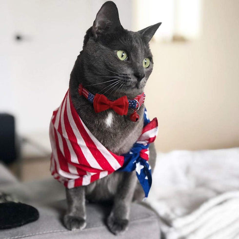 BoomBone American Flag Cat Collar Bowtie with Breakaway and Bell