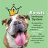 Probiotics for Dogs - Complete Gut Health & Immune Support, 30 Packets for Easy Digestive Multi-Strain Use