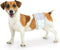 Four Paws Wee-Wee Super Absorbent Disposable Adjustable Dog Potty Training Male Wraps