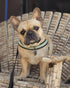 Blueberry Pet 3M Reflective Jacquard Padded Dog Harness, 21.5" - 27.5" Chest Girth, Palace Blue, S/M