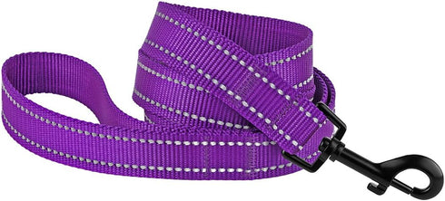 CollarDirect Nylon Dog Leash 5ft for Daily Outdoor Walking Running Training Heavy Duty Reflective Pet Leashes for Large, Medium & Small Dogs (L, Purple)