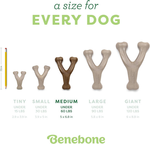 Benebone Wishbone Durable Dog Chew Toy for Aggressive Chewers, Medium, Real Bacon, Made in USA