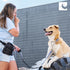 RC Pet Products Martingale Training Collar, Versatile and Effective for Large Doodle Dogs