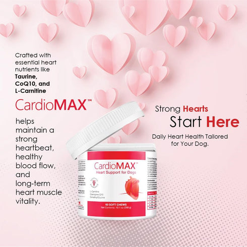 L-Carnitine,EPA,DHA,CoQ10-Aids Made-60 Heart Support Supplement for Dogs-Vet-Formulated, Antioxidant-Rich-L-Taurine