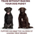 Freeze Dried Training Treats for Dogs & Puppies, Pupford 240+ Four Ingredient Bites (Duck & Veggies, 5 oz)