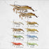 LIVE TARGET 3 3/4", 3/8 Oz, Live Shrimp Finess Bait Grass Shrimp