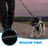 Tactical Heavy Duty Bungee Dog Leash, 4-6FT for Medium Large Dogs That Pull, Shock Absorbing with Padded Traffic Handle