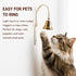 Communication GoldTiger Fixed Metal Dog Doorbell for Potty Training - Heavy Duty Steel Wall Mounted Dog Bell for Door