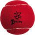 Zanies Puppy Pride Tennis Balls for Dogs, 6-Pack, 2.5-Inch Diameter, Rainbow Pride Flag Colors