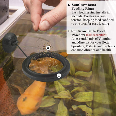 Betta Feeding Ring by SunGrow, Prevent Water Turbulence from Washing Food into Filter, Suitable for Guppy, Goldfish and