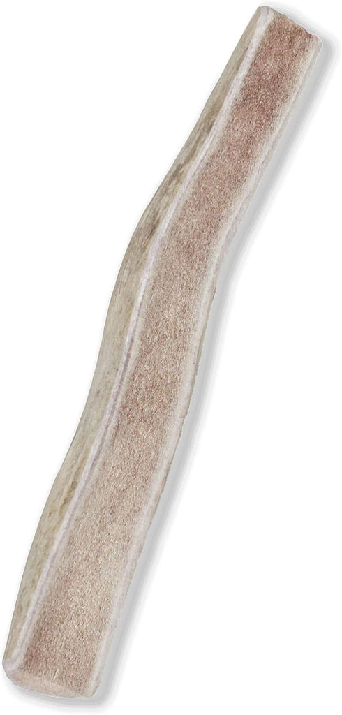 Prairie Dog Antlers, North American Split Antler, Large, Naturally Shed, Nutrient Rich, 6-7.5 inches