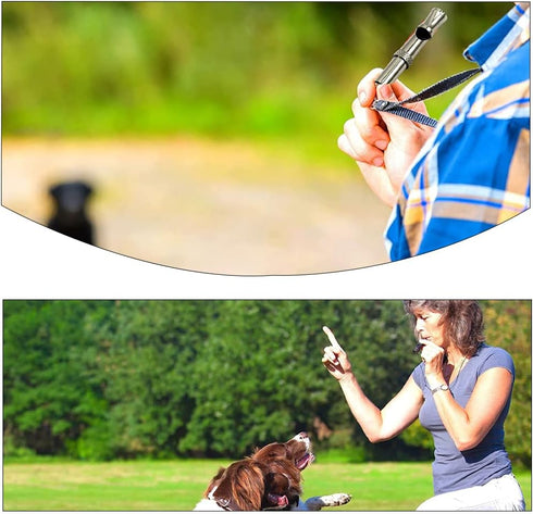 Dog Whistle to Stop Barking Neighbors Dog Training Tools High Pitch Dog Training Whistle Copper Core Dog Whistles for Recall and Pet Behavior Control (2 Pcs)