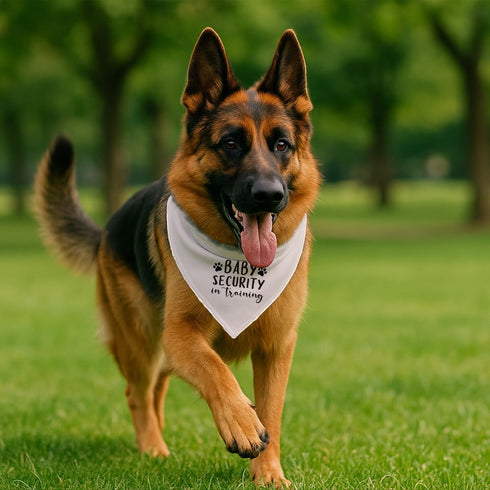 YJIKRTVT Baby Security in Training Dog Bandana, Adjustable Triangle Dog Scarf, Dogs Pregnancy Announcement Bandana