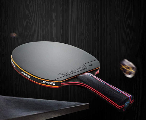 Senston Professional Table Tennis Paddles Set of 2, Advance Intermediate Ping Pong Paddles with Carry Case