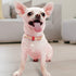 PetsHome Adjustable Cat and Dog Collar, Bling Rhinestones, Premium PU Leather with Pendant, Medium Red