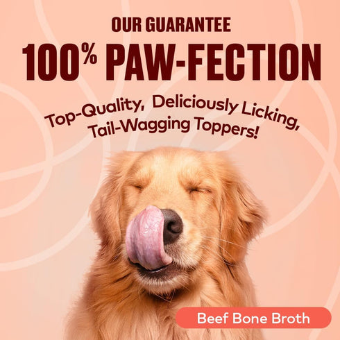 Beef Bone Broth for Dogs, 12 oz - Collagen Protein Supplement for Digestion, Mobility, Coat, Grain Free, Made in USA