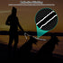 2 Dog Leash, Double Dog Leash Coupler, Tangle Free Bungee Leash, 360° Swivel, Comfortable Shock Absorbing