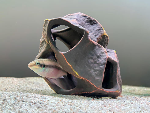 Plecoceramics Aquarium Ceramic Decorations Cave Betta Stone Decor - Aquarium Fish Tank Hideway Decor for breeding Cichlids Plecos Betta Toys Hideout (Boulder)