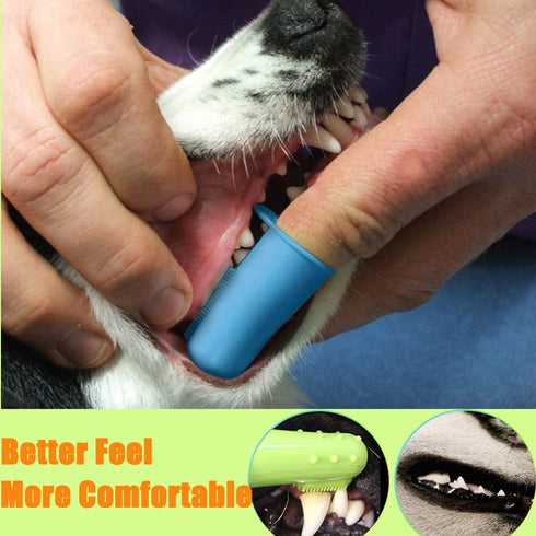 Zeyaa 10 Pack 2 3 5 Pack Pet Dog Toothbrush, Triple Head Pet Toothbrushes Double Head Tooth Brush Finger Rubber