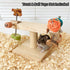 Chinchilla Wooden Spinning Foraging Toy for Hamster Guinea Pig, Wood Interactive Enrichment Toy for Pet Rats Gerbil