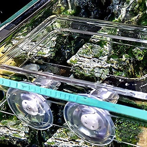 2PCS Acrylic Floating Fish Feeding Ring for Betta, Goldfish, Fish Feeding Ring for Aquarium Fish (L)