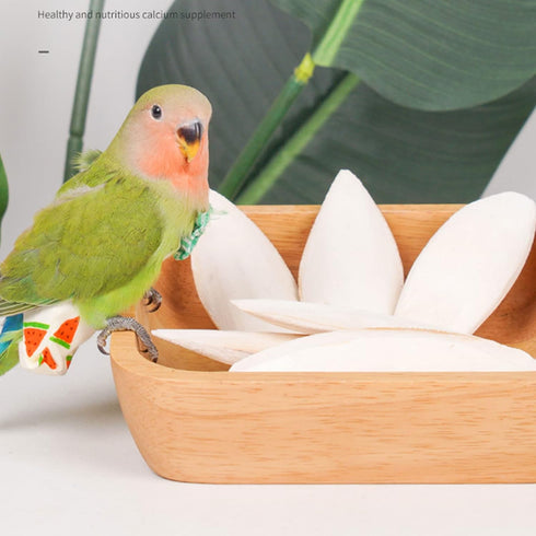 Natural Cuttlebone for Birds with Holder for Bird Cage - 2PCS (3.9-4.5", Parakeets, Canaries, Cockatiels)