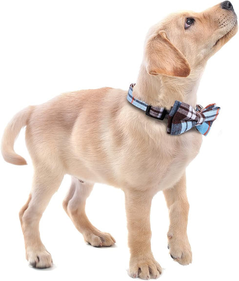 Soft & Comfy Bowtie Dog Collar, Detachable Adjustable Bow Tie for Small Medium Large Pets (Blue, M)