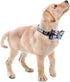 Faleela Soft & Comfy Bowtie Dog Collar, Detachable Adjustable Bow Tie for Small Medium Large Pets (S, Blue)