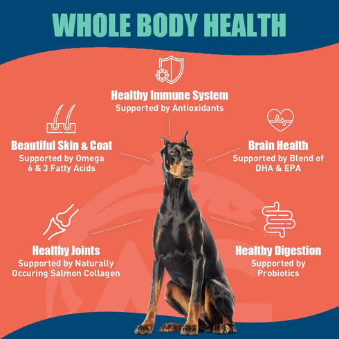 Wild Salmon SUPER3+ Dry Dog Food, High-Protein Blend with Freeze-Dried Raw Salmon, 3-lbs