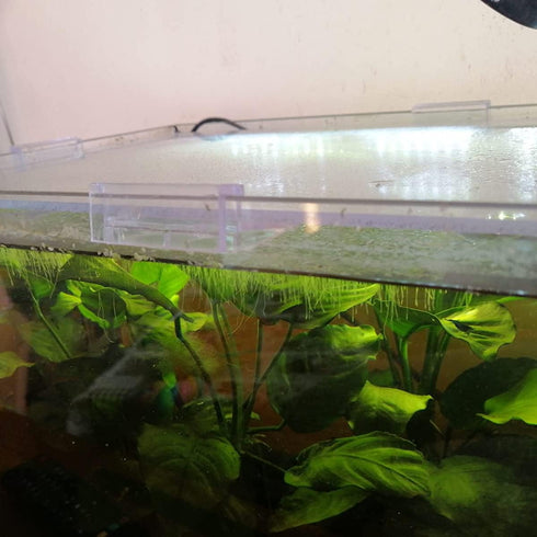 Weilan 18 Pieces Rimless Aquarium Lid Clips, 6mm Thick Acrylic Rimless Glass Canopy Clips for Fish Tank Cover Support