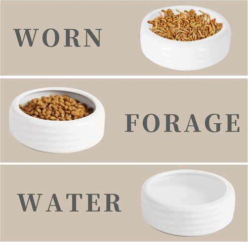 Ceramic Round Reptile Food Bowls - 2-Pack Pet Food Dish for Lizards and Young Bearded Dragons