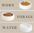 Ceramic Round Reptile Food Bowls - 2-Pack Pet Food Dish for Lizards and Young Bearded Dragons