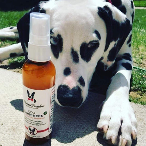 2-Pack (2 4 oz) 18% Warren London Dog Sunscreen Spray UV Shield with Aloe | Quick-Dry, Non-Greasy, Sunblock for Nose
