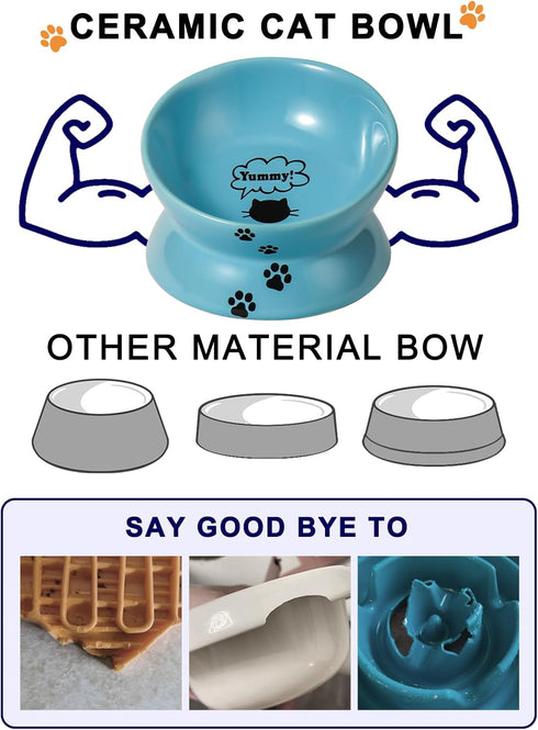 Y YHY Elevated Cat Food Bowl, Ceramic Raised Bowl with Tilt Angle for Cat's Spine Protection, Anti Vomiting Dish (Lake