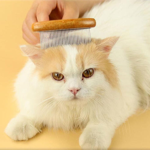 Beaupretty 4pcs Pet Comb Undercoat Rake for Cat Shedding, Dog Brush Grooming Rake, Stainless Steel Accessories